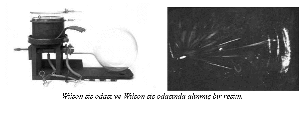Metin Kutusu:        
Wilson sis odas ve Wilson sis odasnda alnm bir resim.
