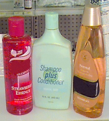 shampoo.jpg (41813 bytes)