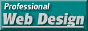 Professional Web Design