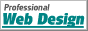 Professional Web Design
